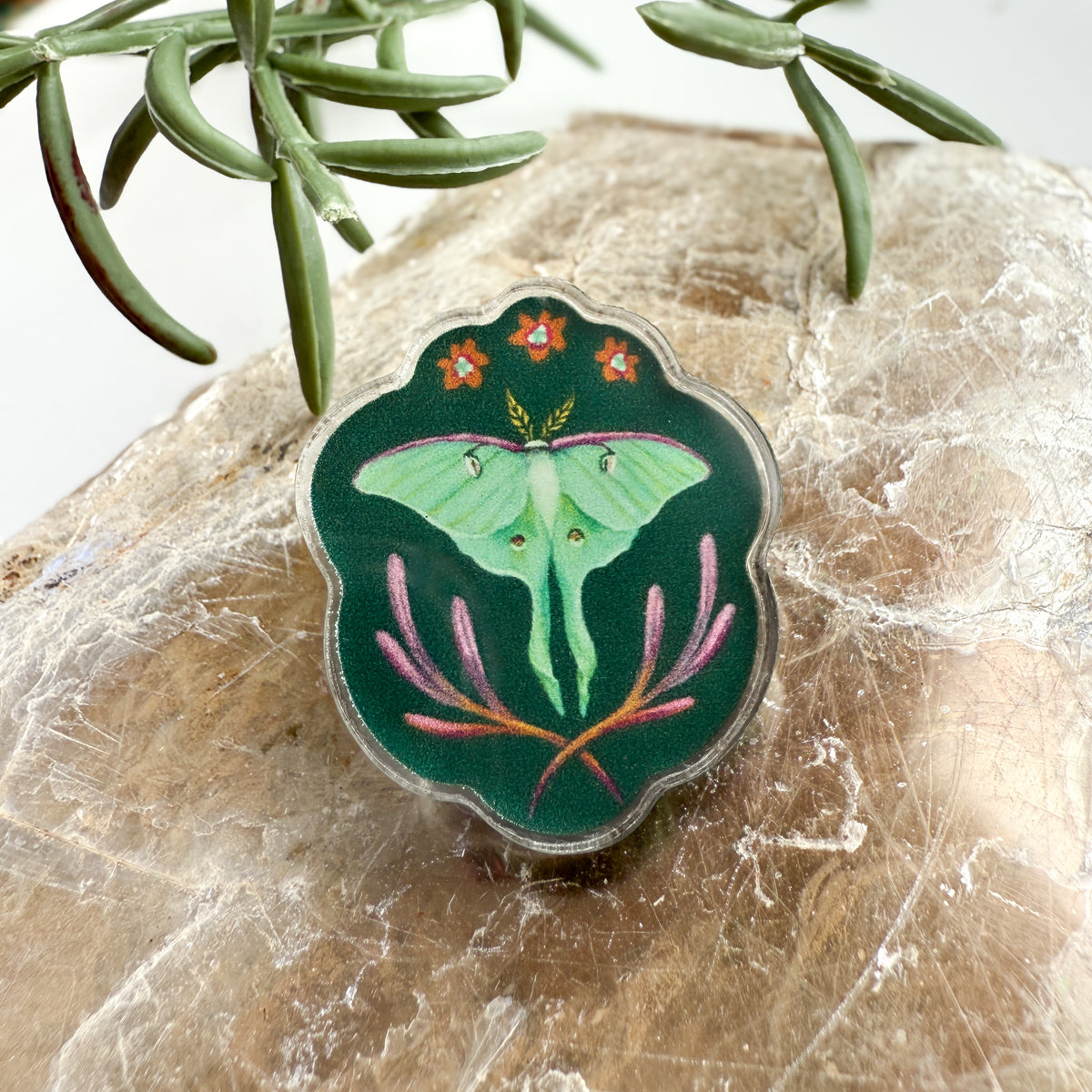 Luna Moth Acrylic Pin