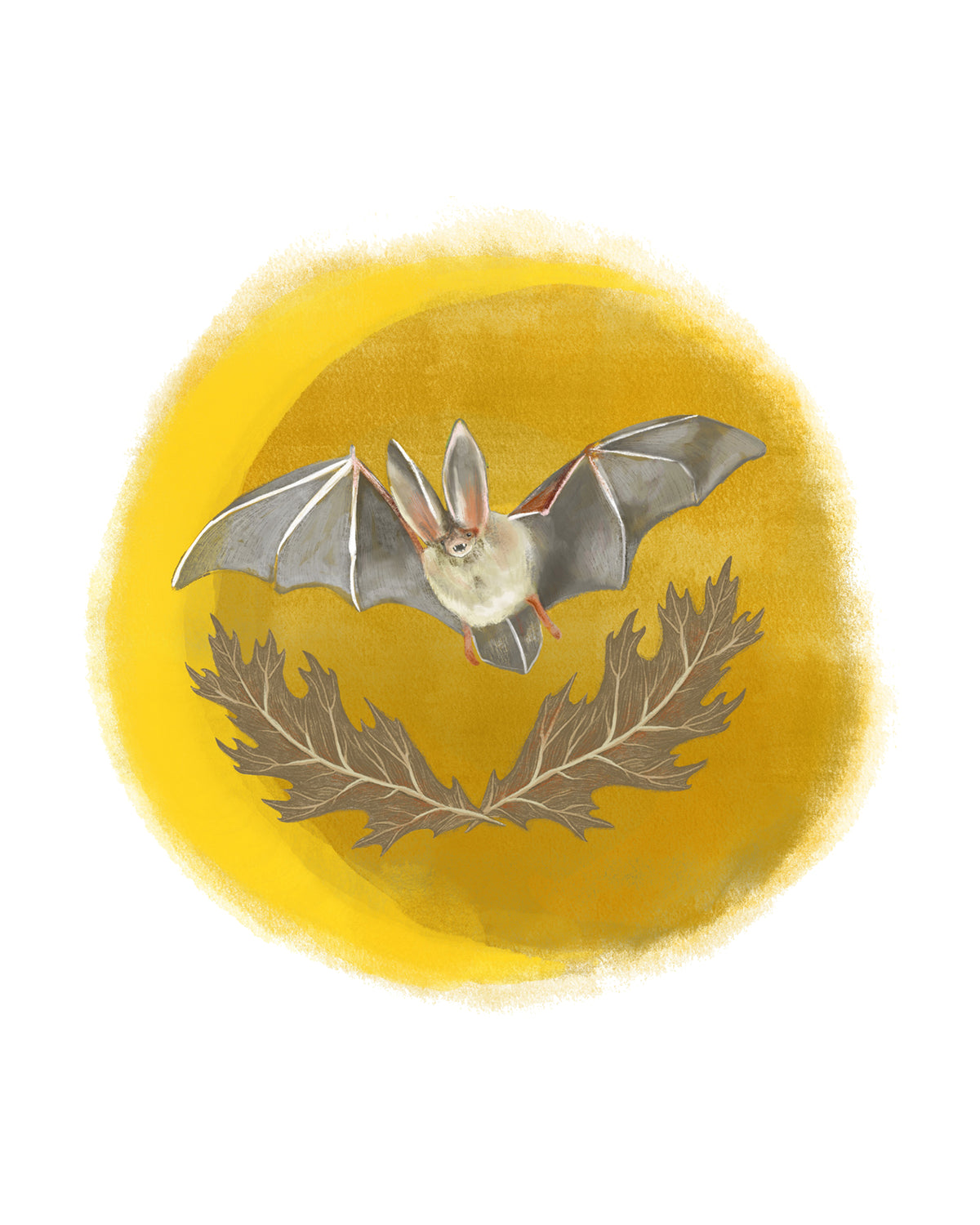 Bat Fine Art Print